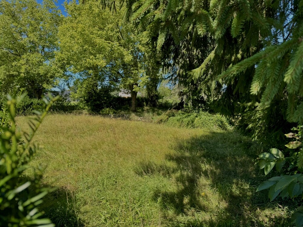 Foto der Immobilie (8645)